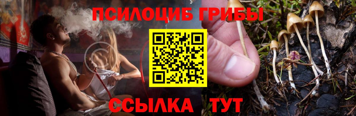 Псилоцибиновые грибы мицелий Избербаш